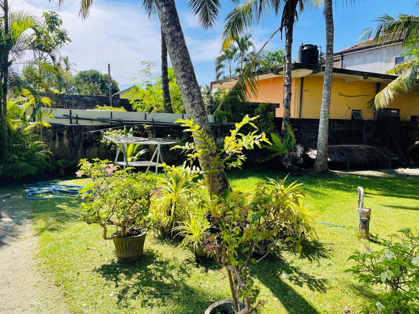 The Beez Hotel Negombo Exterior foto