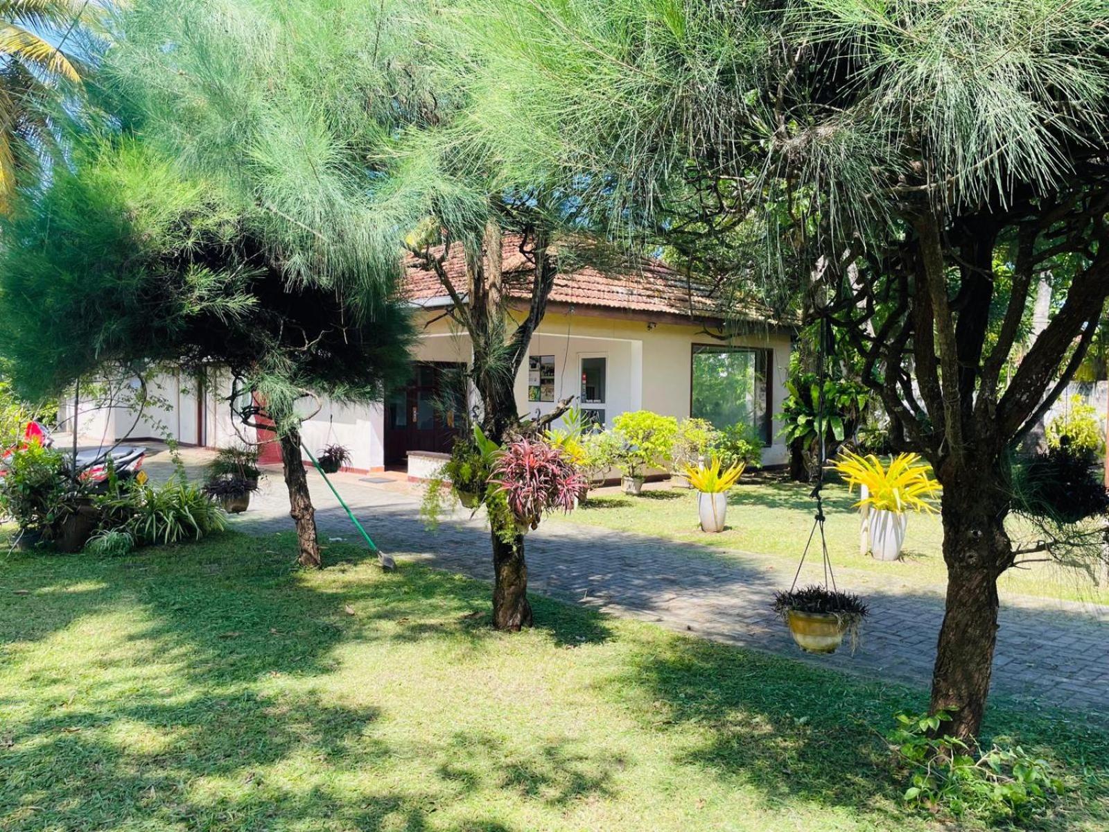 The Beez Hotel Negombo Exterior foto